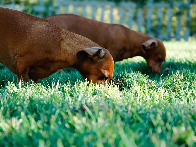 偏头痛之歌<br>ujcbtdu.cn 闪光幻觉症